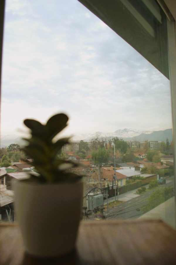 Simón Bolivar - Imagen 3